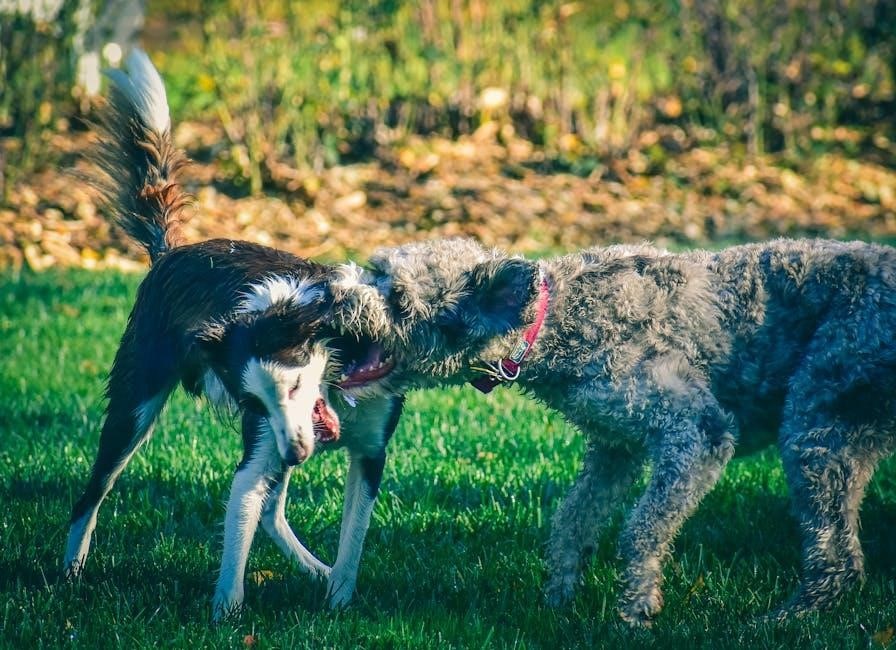 vax dual power pet advance user manual