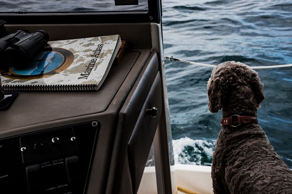 humminbird manuals